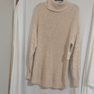 Cozy Beige Turtleneck Tunic-Length Sweater